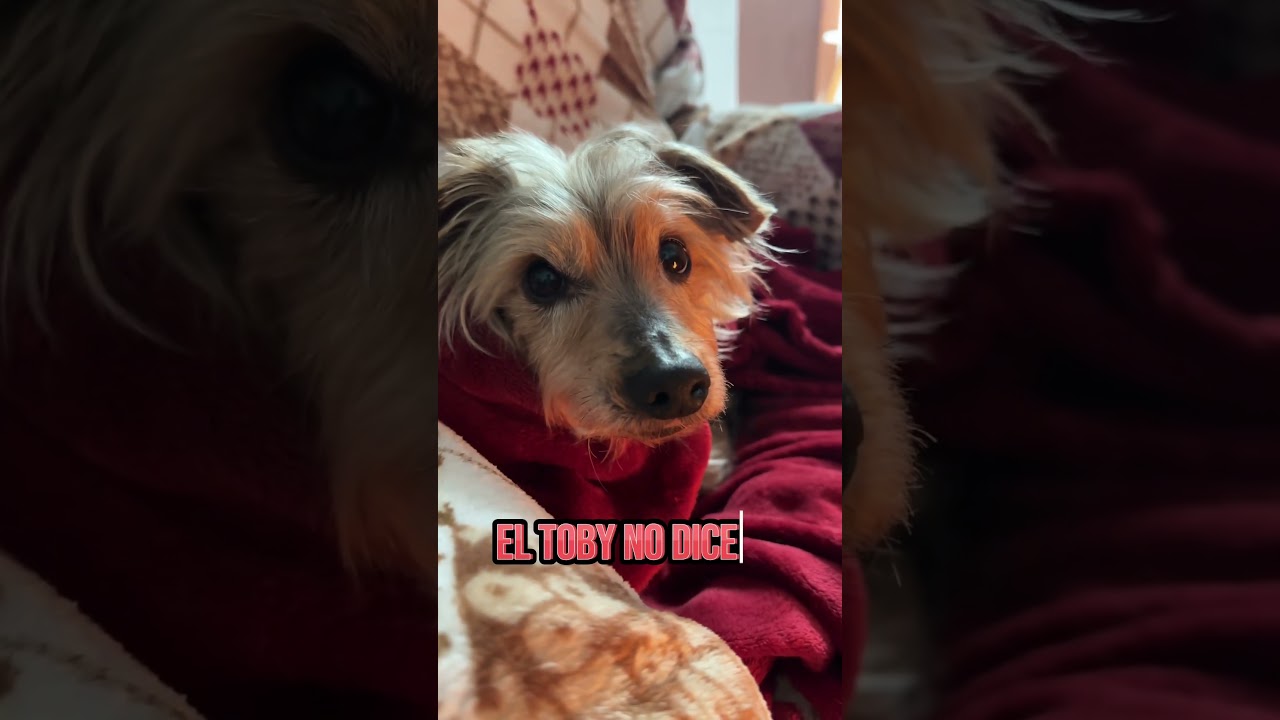 espero que hayas disfrutado de las vacaciones