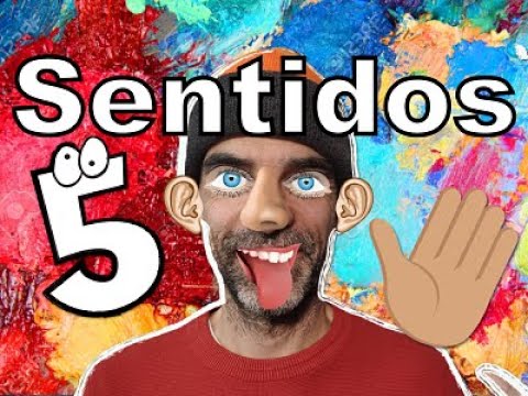 frases caja de los 5 sentidos