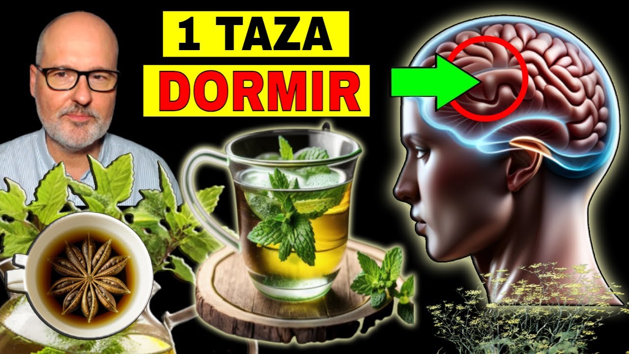 infusiones para dormir toda la noche