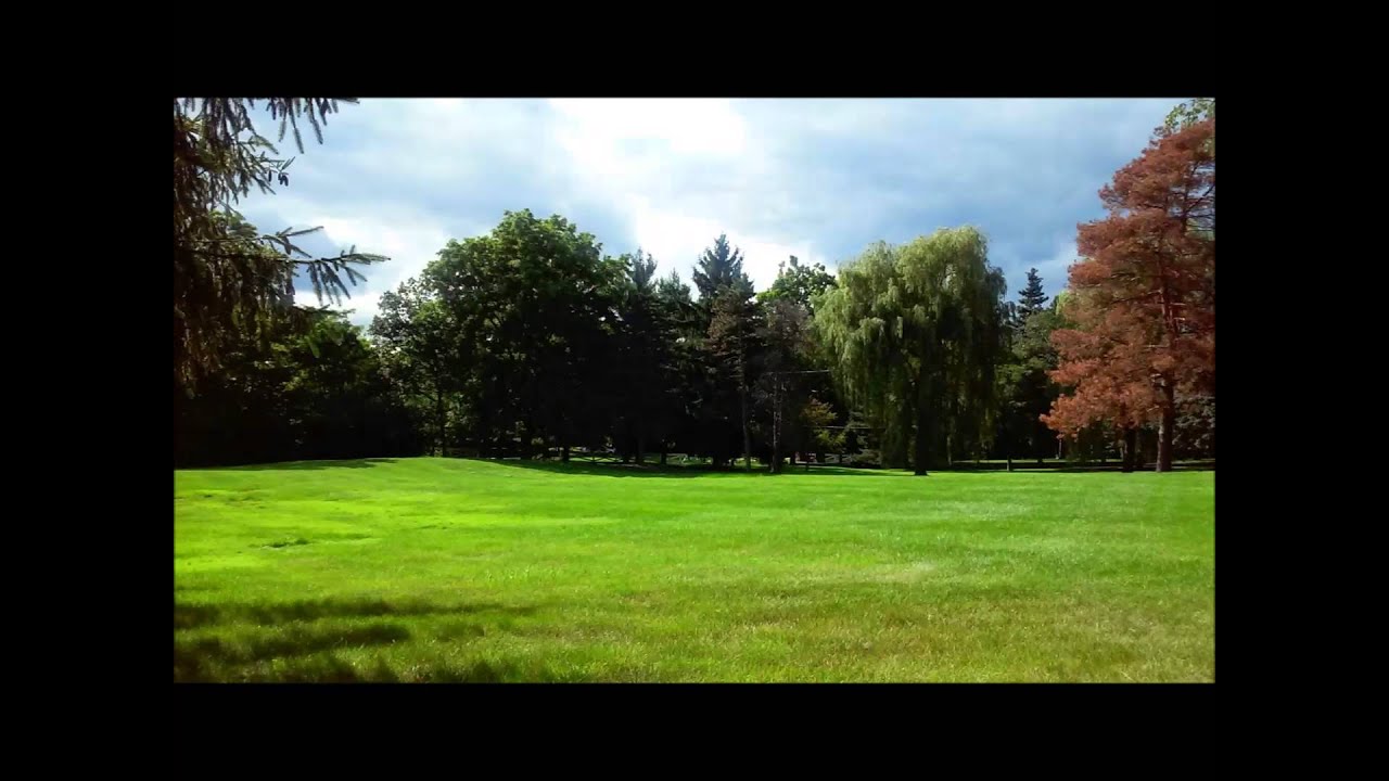 los caballeros no tienen memoria frase