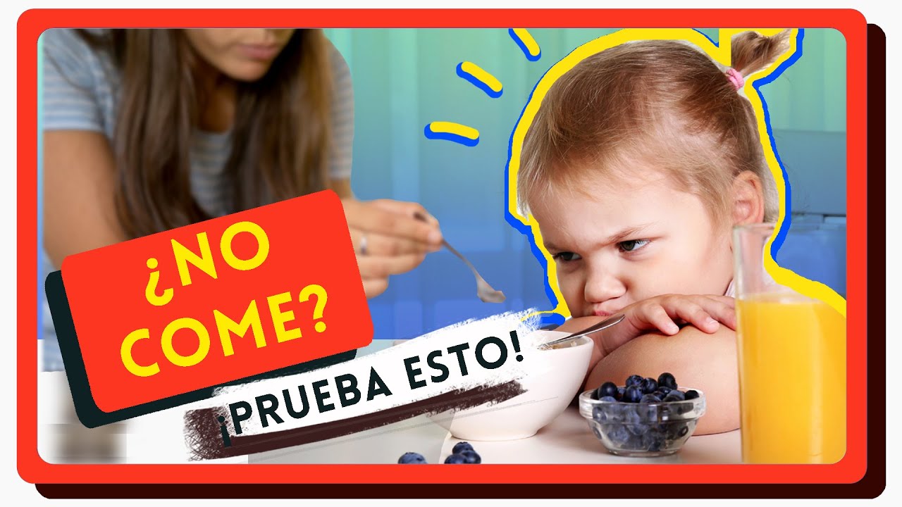mi hijo de 2 años no quiere comer comida entera