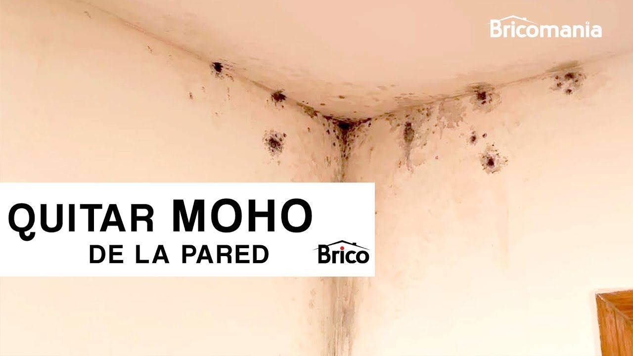 moho en la pared como quitarlo