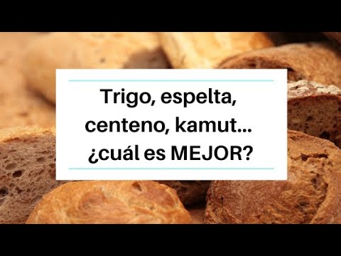 pan de centeno o espelta cuál es mejor