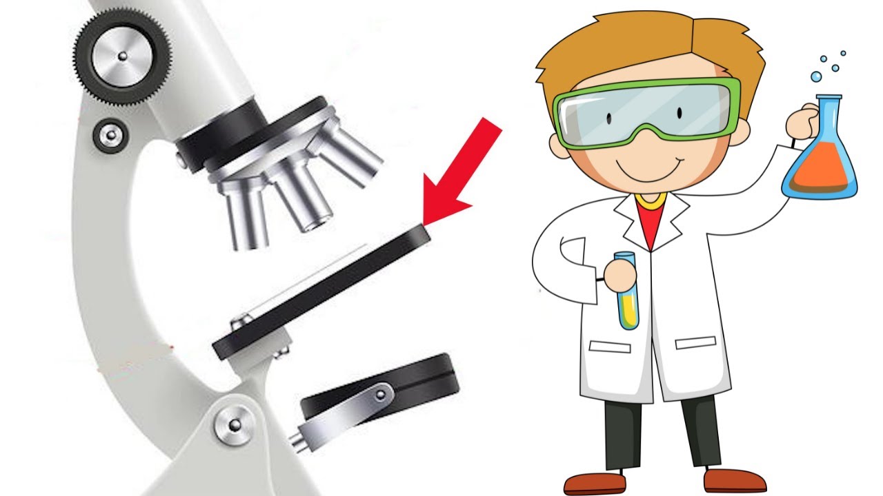 para que sirve el revolver del microscopio