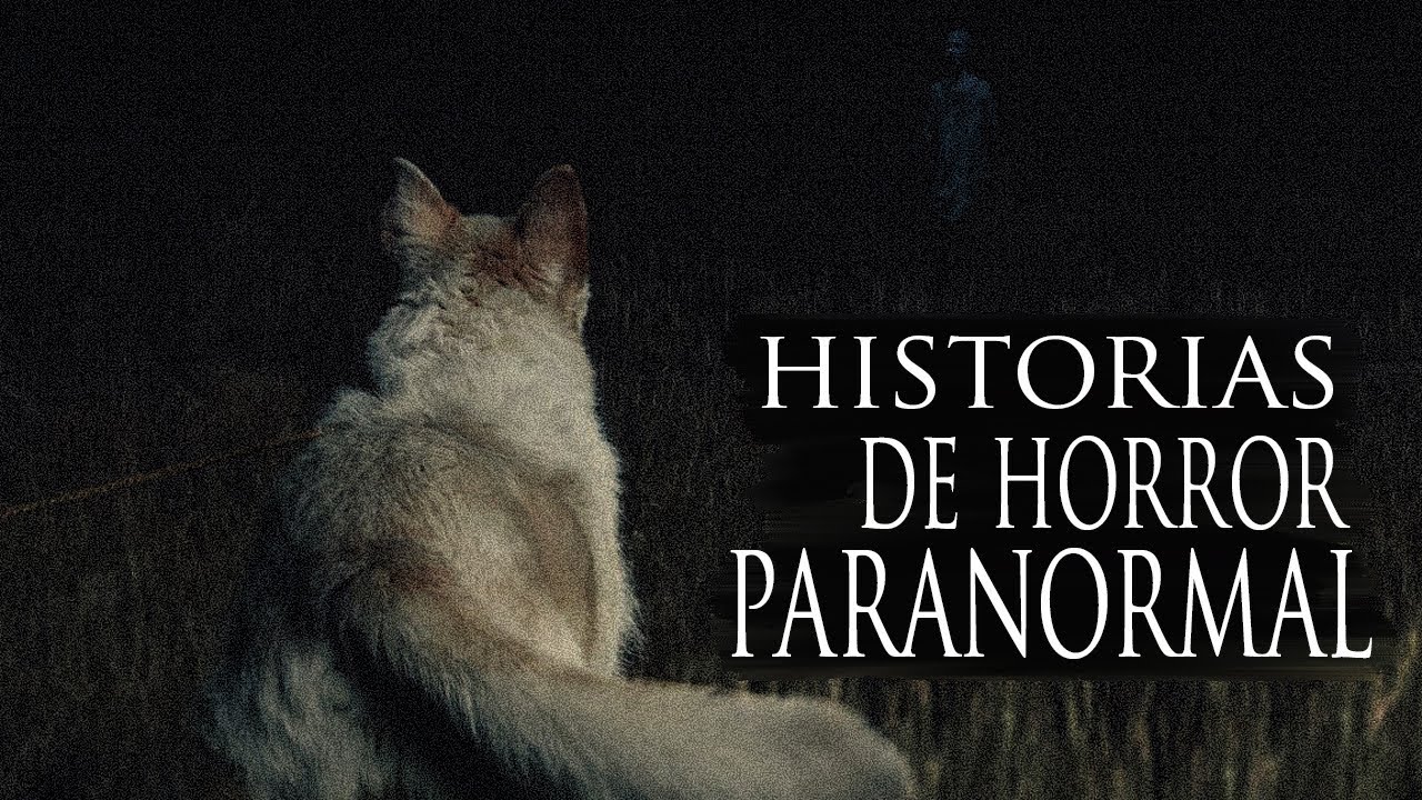 porque ladran los perros por la noche