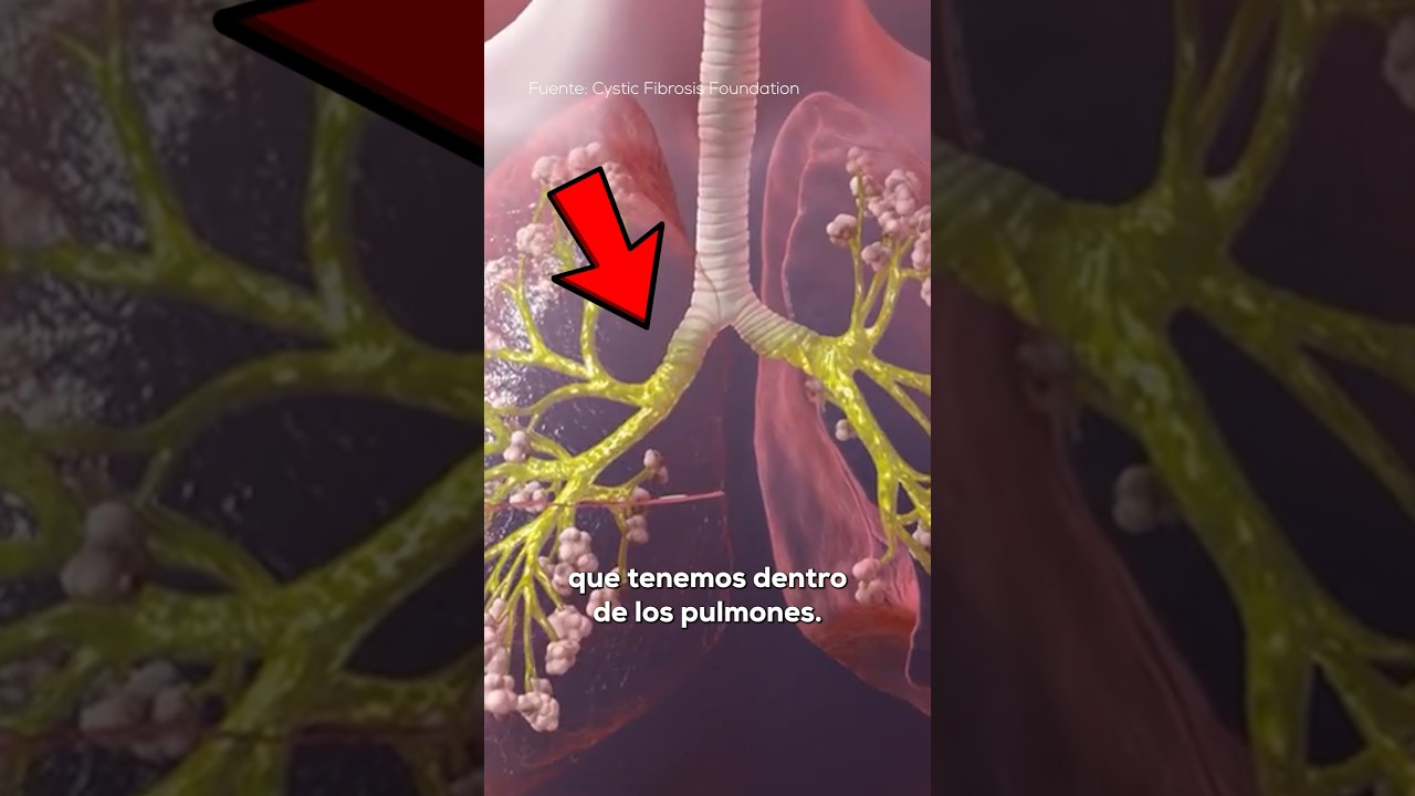 q pasa si te tragas las flemas