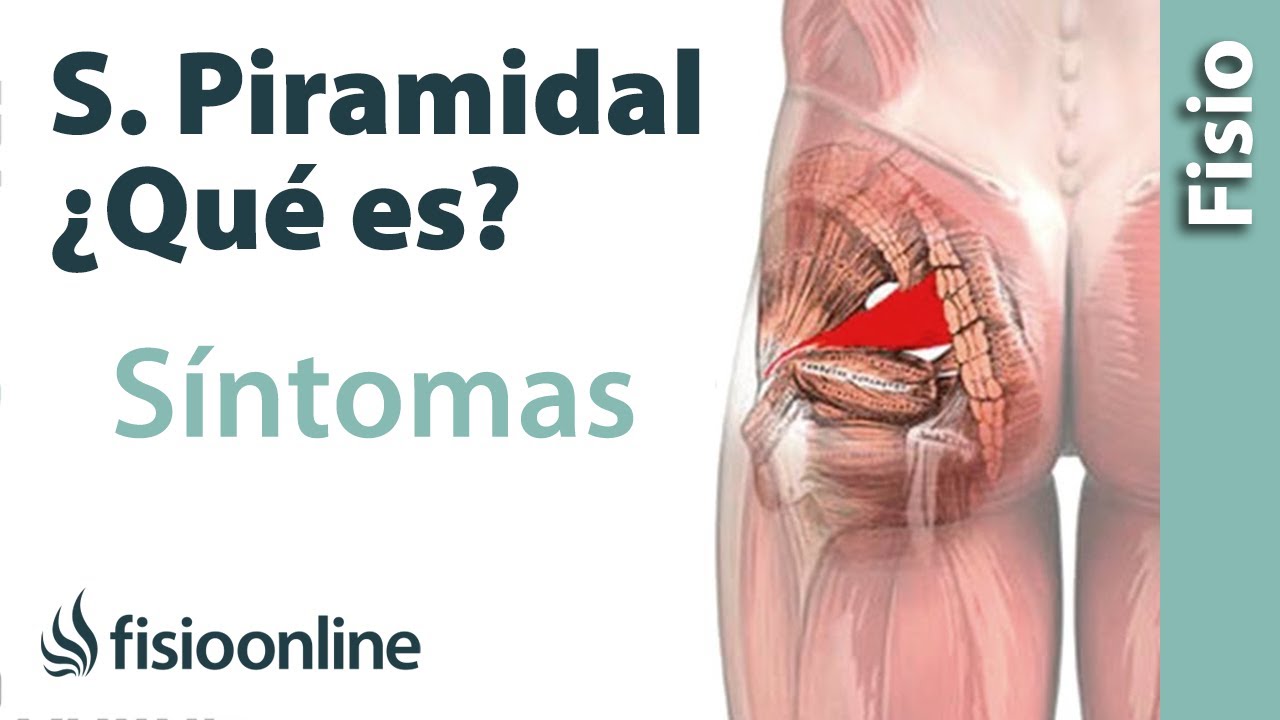 que es el piramidal en el cuerpo humano