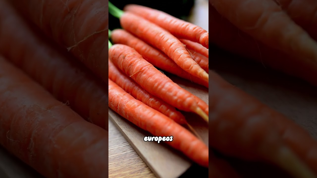 que es la zanahoria fruta o verdura