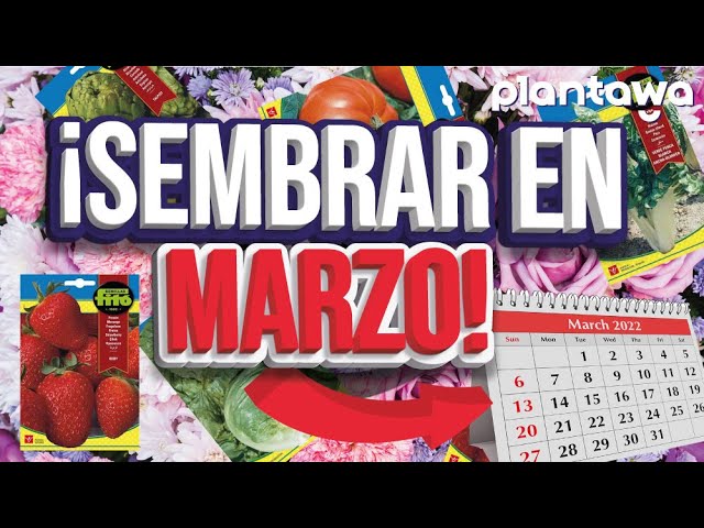 que plantar en marzo en valencia