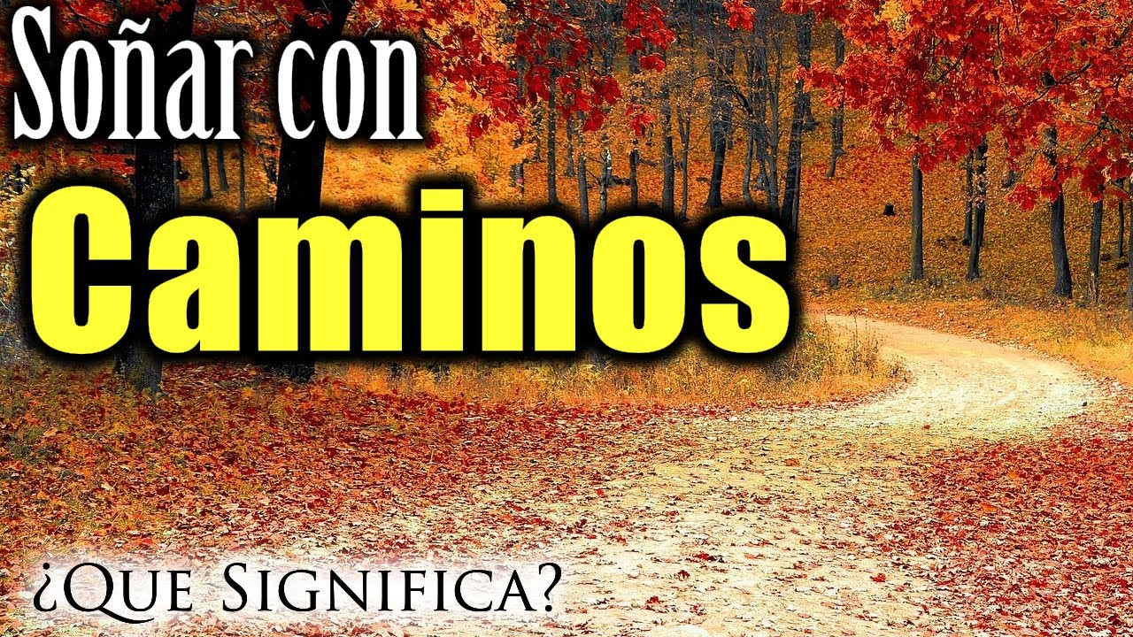 qué significa soñar con un camino