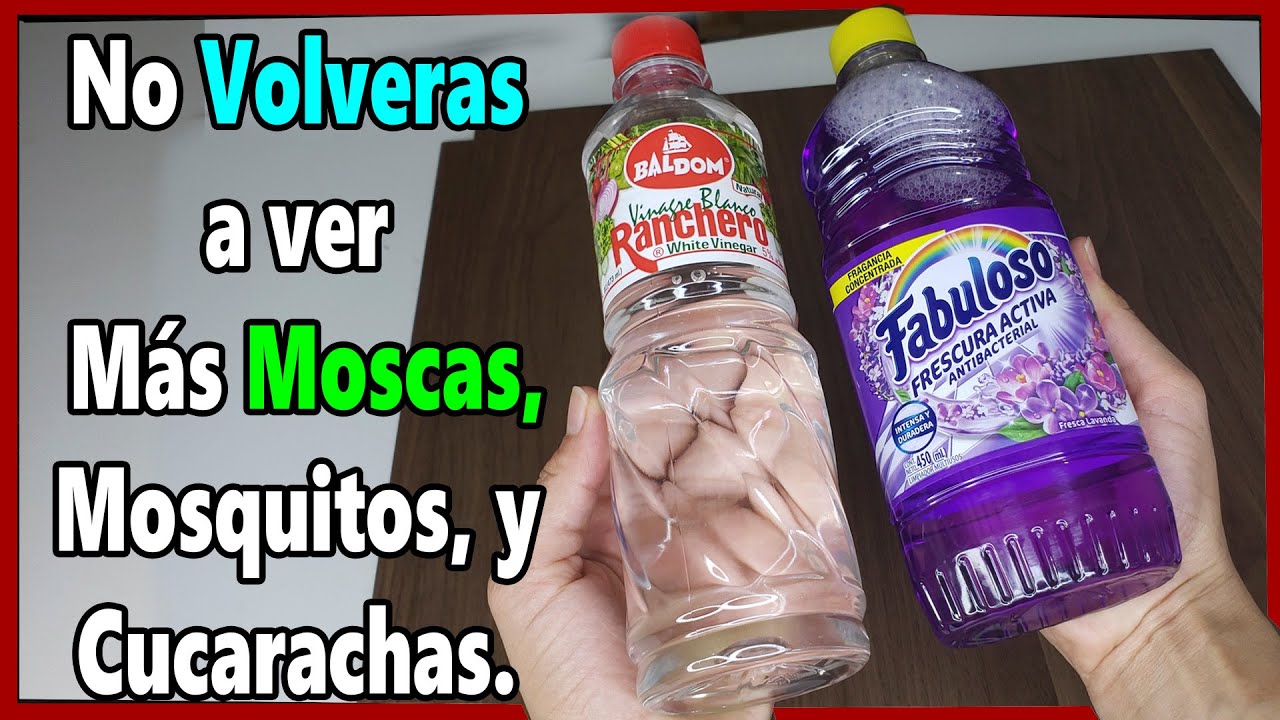 remedio casero moscas de la fruta