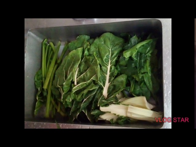 se pueden congelar las acelgas frescas