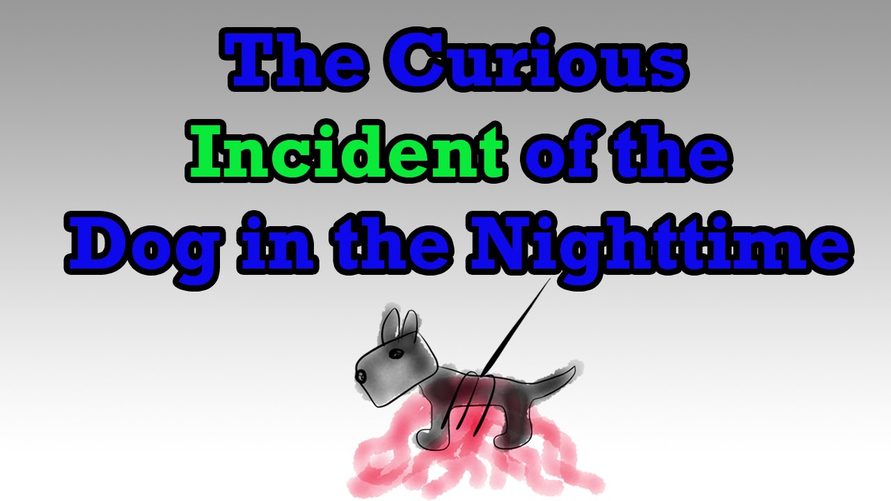 the curious incident of the dog in the nighttime resumen