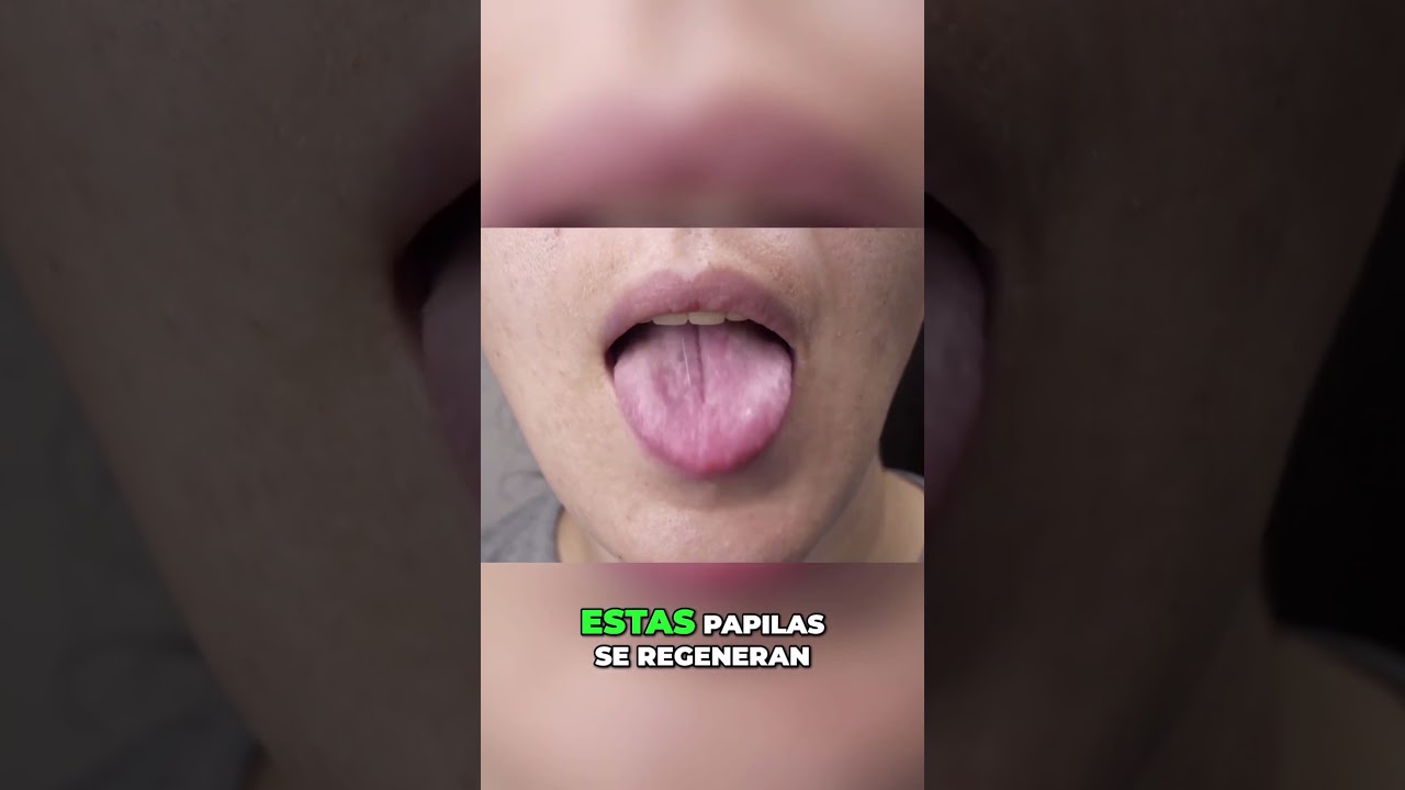 aproximadamente cuantas papilas gustativas tiene la lengua