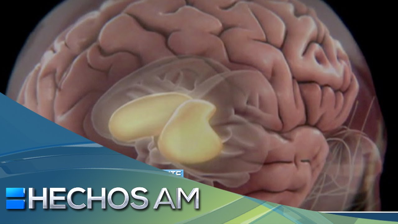 como se llaman las personas que no tienen cosquillas