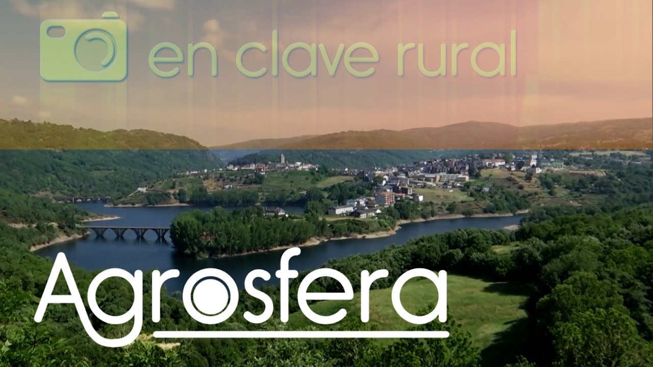 donde comer en viana do bolo