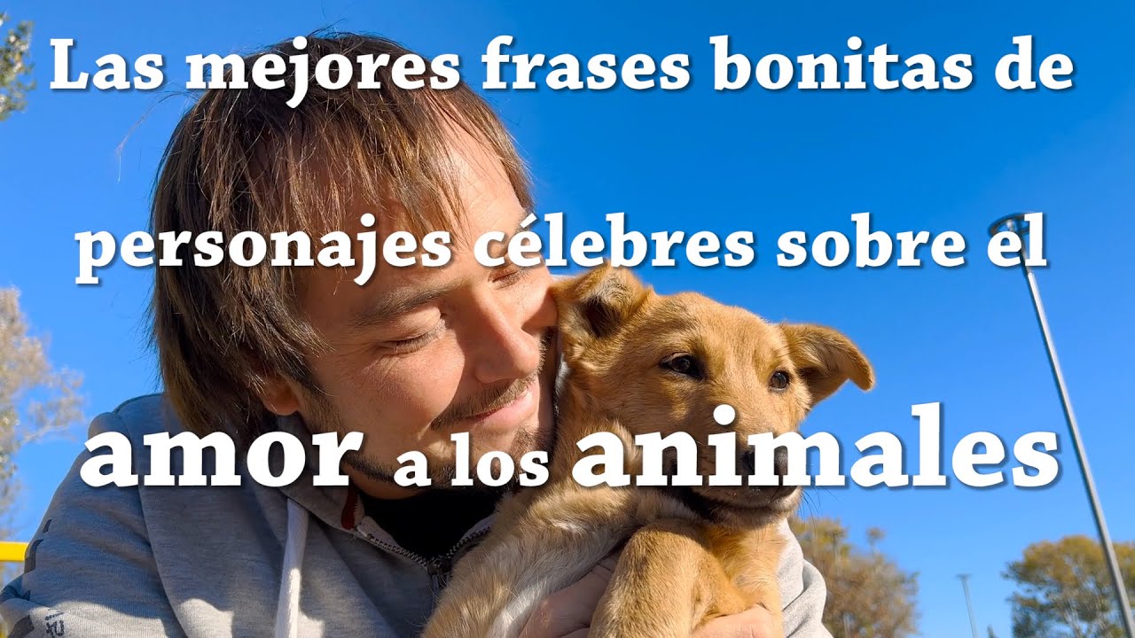 frase de amor a los animales
