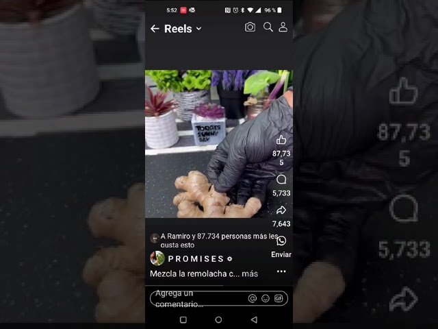 productos naturales para la impotencia masculina