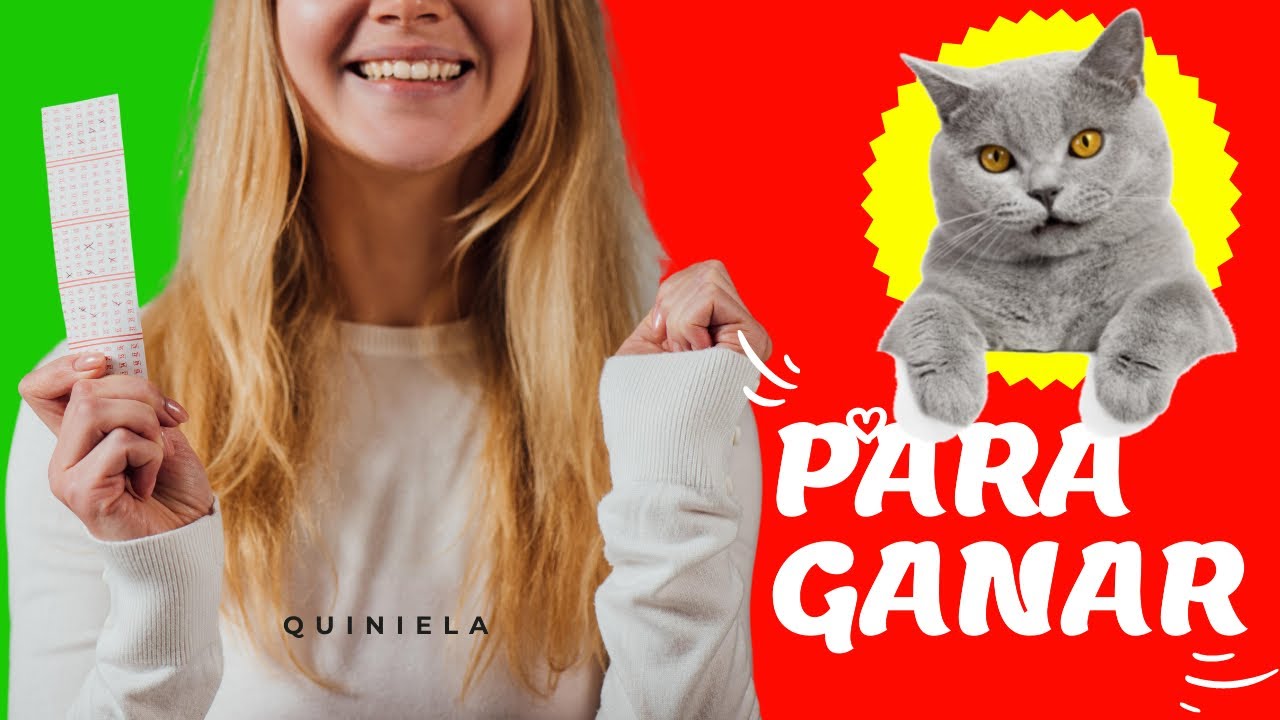 qué número es soñar con gato