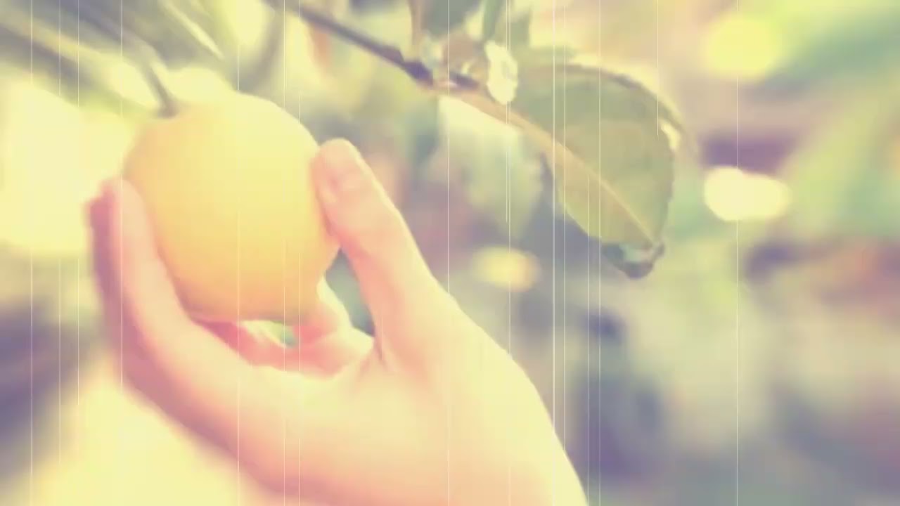 que significa soñar con arboles de limones