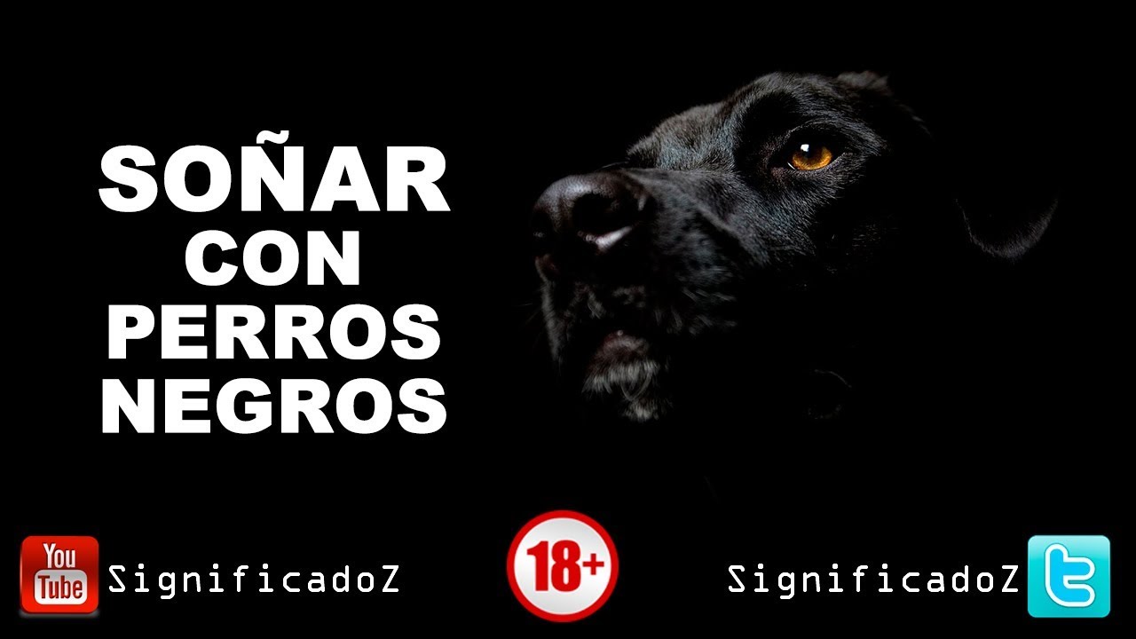 que significa soñar con un perro negro