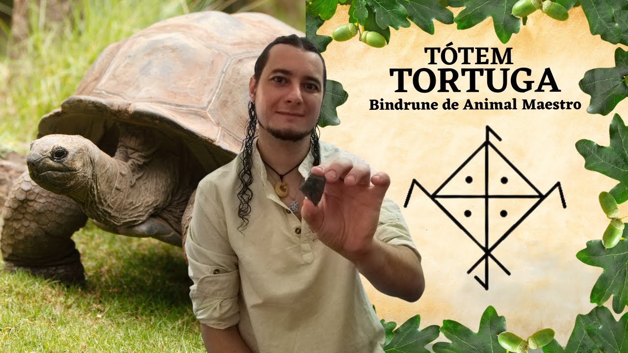 que significado tiene la tortuga marina