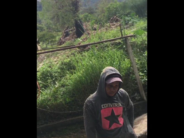 refran con pan y vino se anda el camino