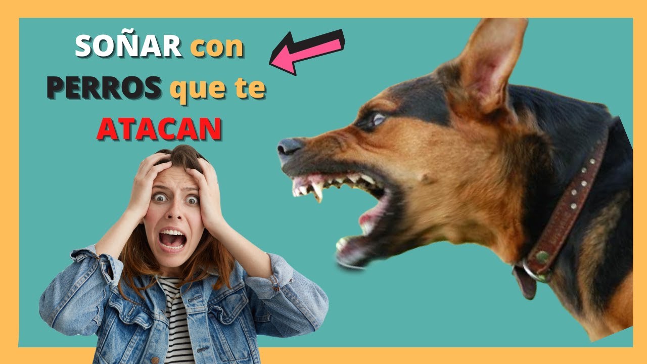 soñar con perros grandes que atacan