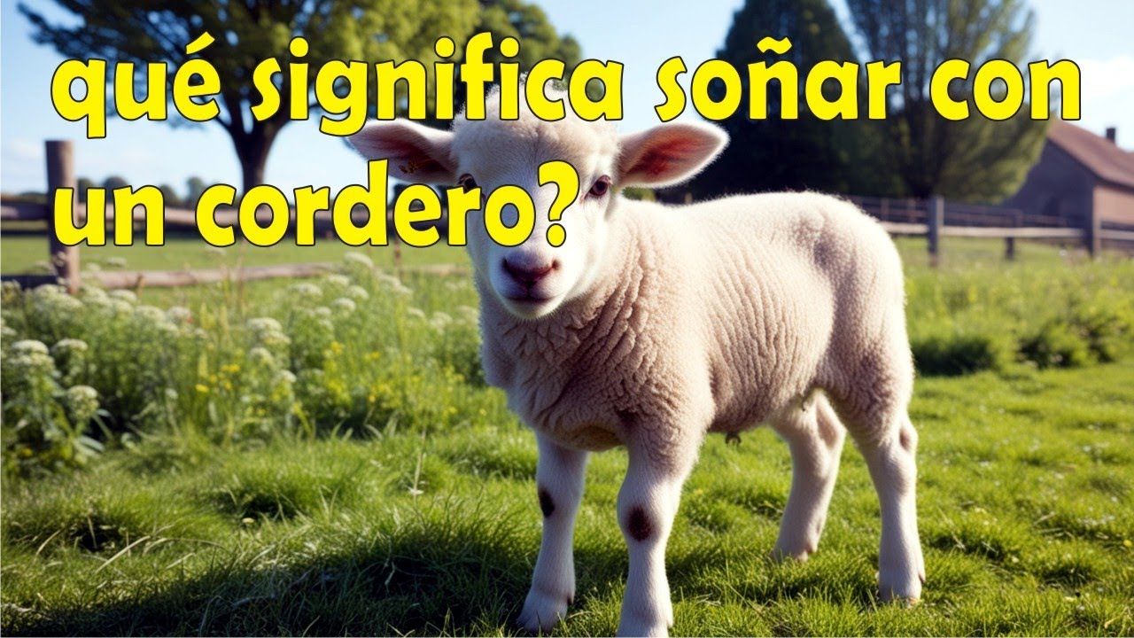 soñar con un cordero blanco pequeño