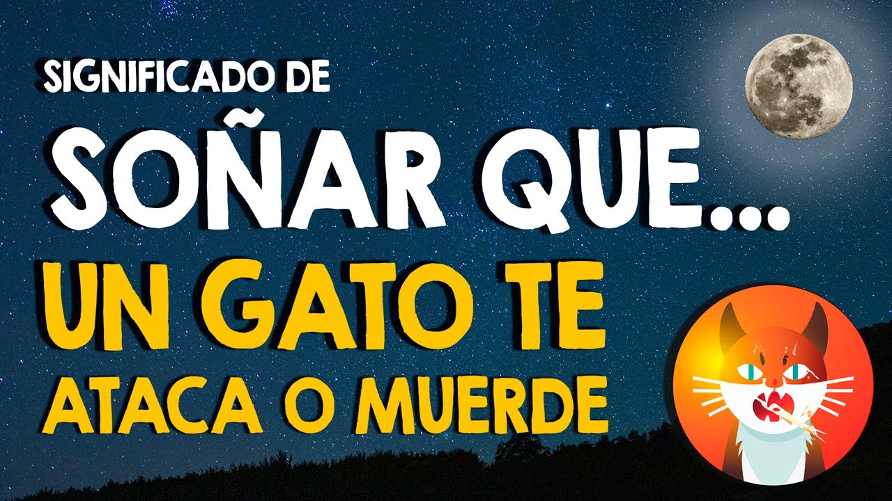 soñe que me ataca un gato