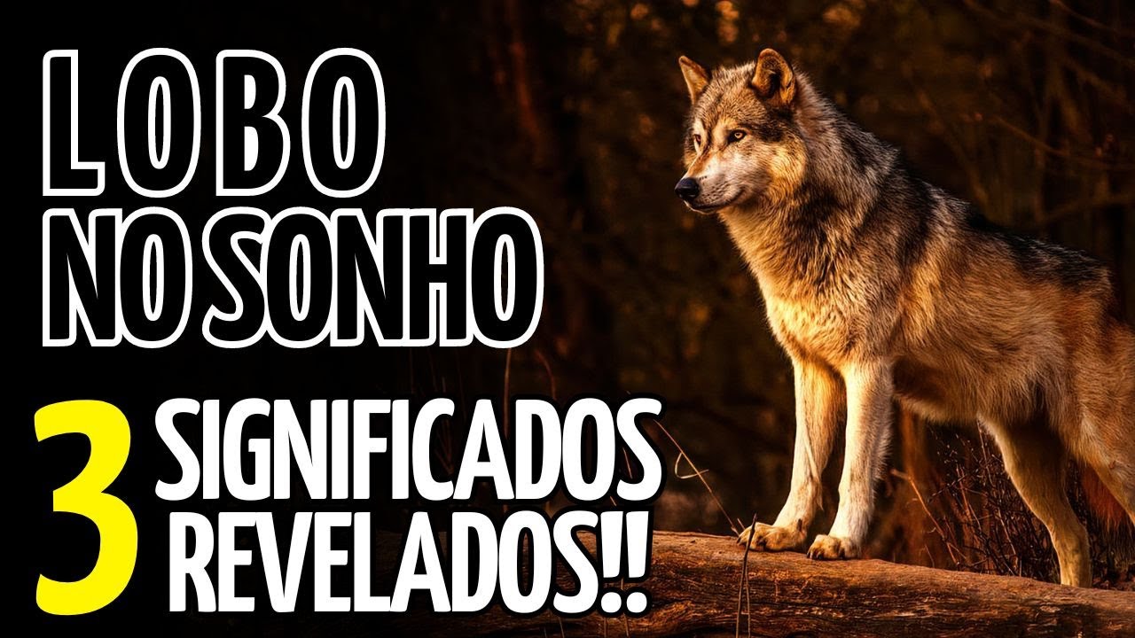 sonhar com lobo o que significa