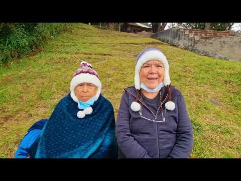 viajes solos y solas mayores de 50